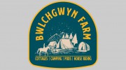 Bwlchgwyn Farm Pony Trekking Centre
