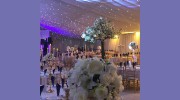 Blue Chilli Events