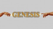 Genesis Kitchens & Bedrooms