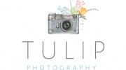 Tulip Photography