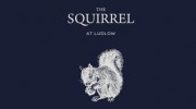 The Squirrel