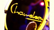 Chameleon Function Band