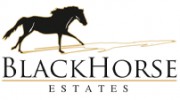 Black Horse Estates